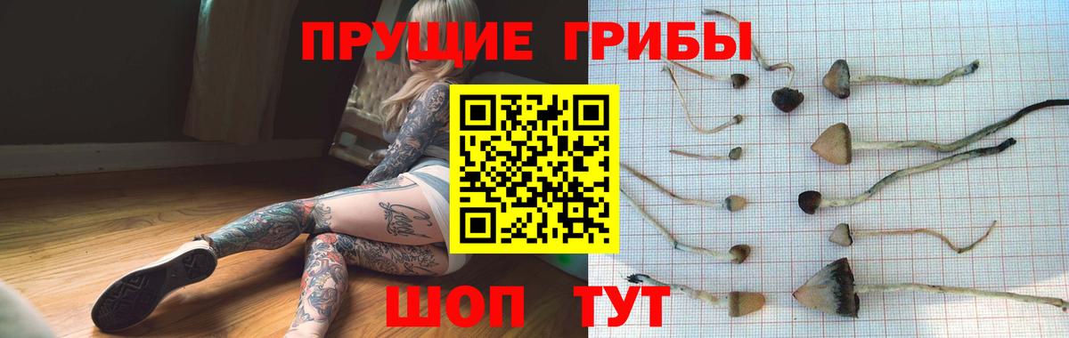 Галлюциногенные грибы Magic Shrooms  где найти   Бийск  Псилоцибиновые грибы MAGIC MUSHROOMS  Вход с VPN 