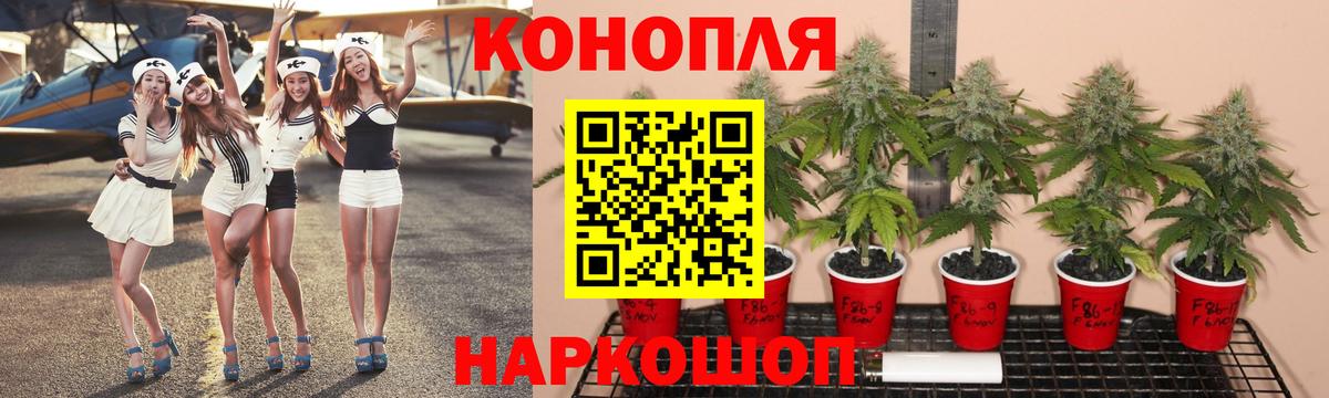 Конопля план  Каннабис THC 21%  Бийск  Шишки марихуана AK-47  Вход с VPN  МАРИХУАНА тримм 